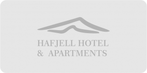 nabsf.no samarbeidspartner hafjell-hotel background